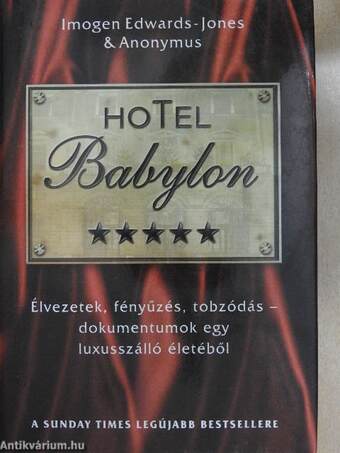 Hotel Babylon