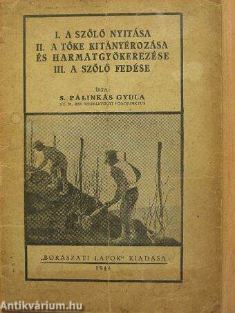 A szőlő nyitása/A tőke kitányérozása és harmatgyökerezése/A szőlő fedése