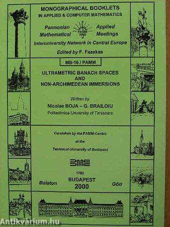 Ultrametric Banach Spaces and Non-Archimedean Immersions MB-16/PAMM