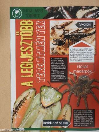 Animal Planet Magazin 2014/4.