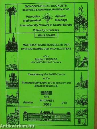 Mathematische Modelle in der Hydrodynamik der Profilgitters MB-19/PAMM