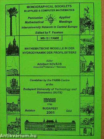 Mathematische Modelle in der Hydrodynamik der Profilgitters MB-19/PAMM