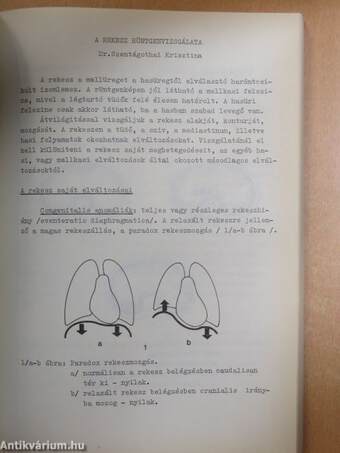 Az orvosi radiológia alapfogalmai