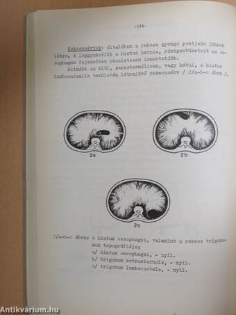 Az orvosi radiológia alapfogalmai