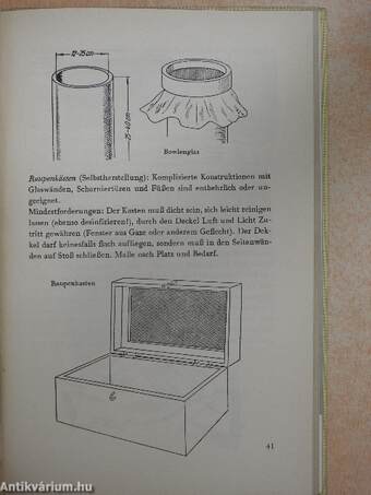 Wir bestimmen Schmetterlinge I.