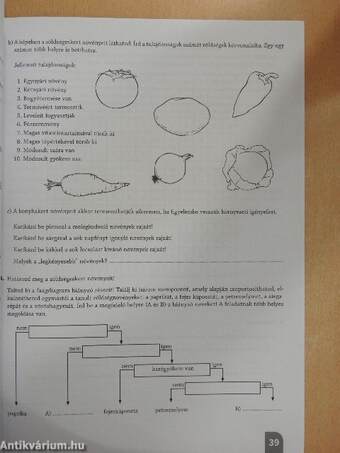 Természetismeret munkafüzet 5.