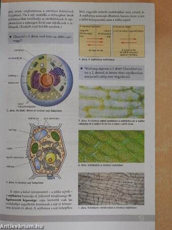 Biológia 8.