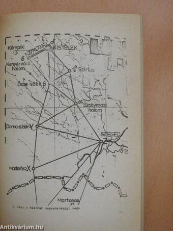 Múzeumi kutatások Csongrád megyében 1983