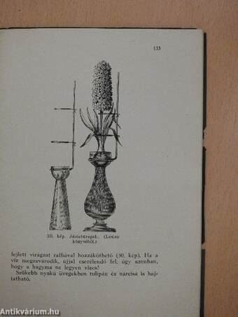 A szobai növények élete és gondozása