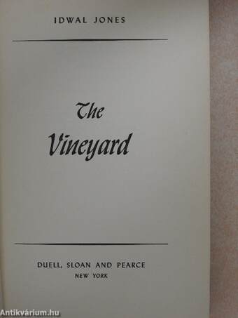 The Vineyard