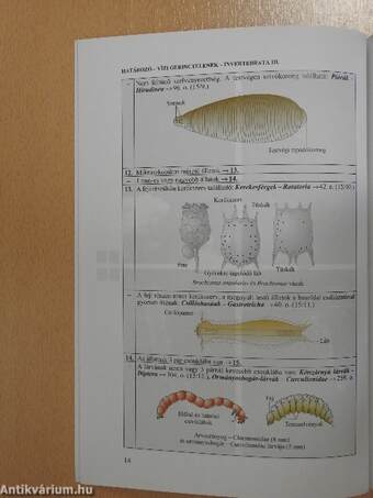 Édesvízi gerinctelen állatok - CD-vel
