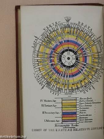 Outlines of Comparative Physiology