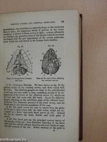 Outlines of Comparative Physiology