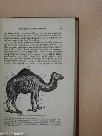 Outlines of Comparative Physiology