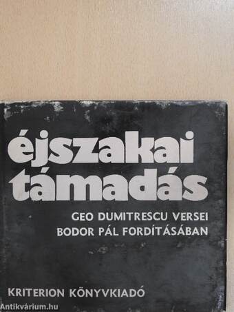 Éjszakai támadás