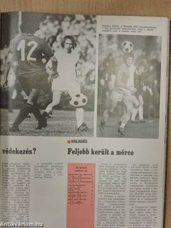 Képes Sport 1976. január-december I-II.