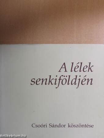 A lélek senkiföldjén