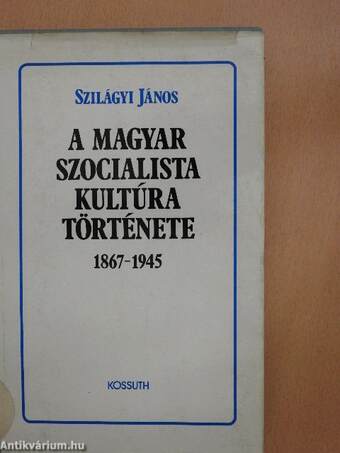 A magyar szocialista kultúra története