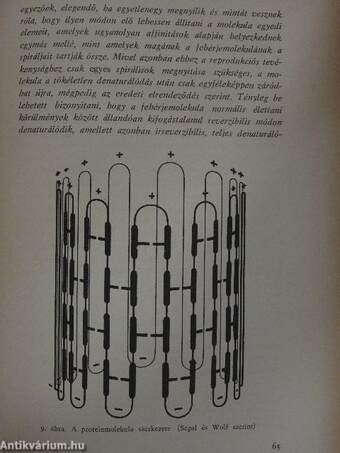 A dialektikus módszer a biológiában