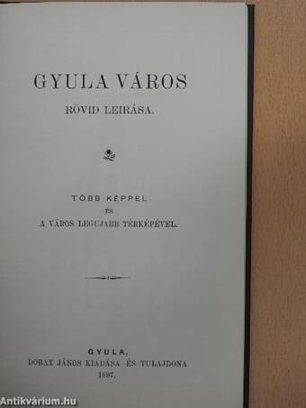 Gyula város rövid leirása