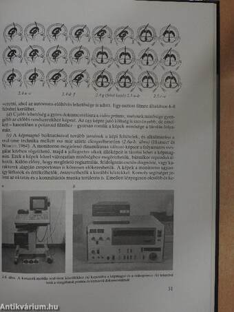 Neurosonographia