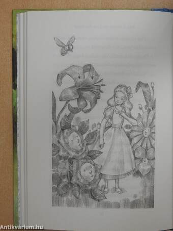 Alice in Wonderland/Through the Looking-Glass