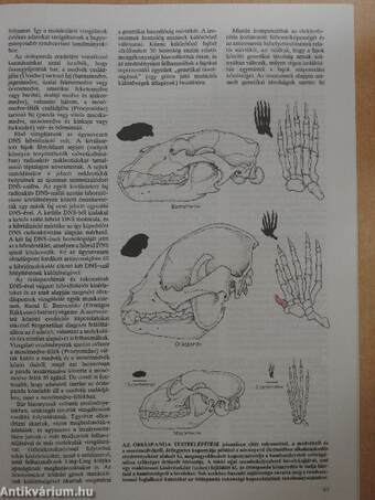 Tudomány 1988. (nem teljes évfolyam)