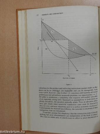 Markets and Hierarchies: Analysis and Antitrust Implications