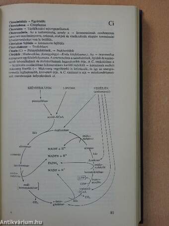 A modern biológia címszavakban