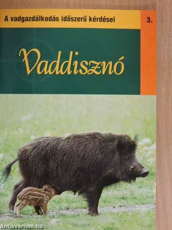 Vaddisznó