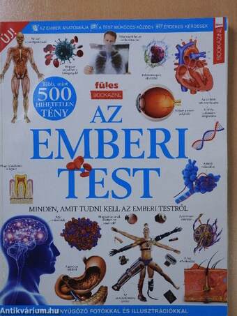 Az emberi test