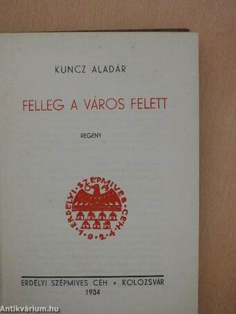 Felleg a város felett