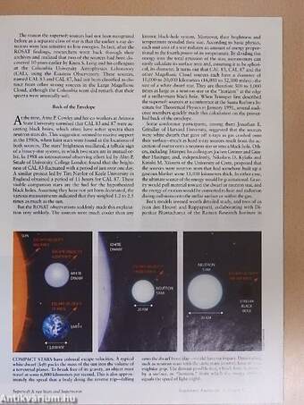 Scientific American February 1999