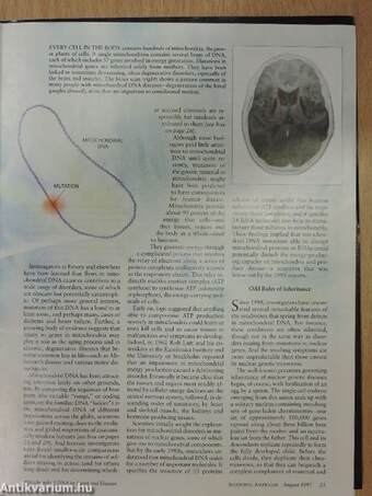 Scientific American August 1997