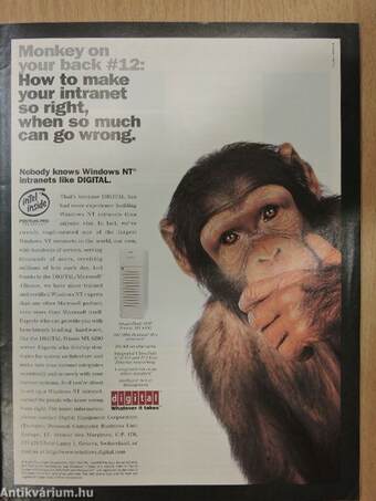 Scientific American May 1997