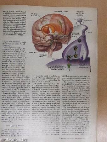 Scientific American September 1998