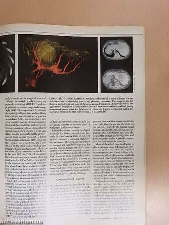 Scientific American September 1996