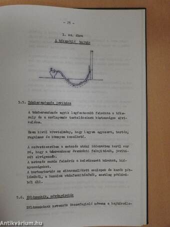 A szőlőtermesztés technológia elemzése és költség-jövedelmezőség vizsgálata a Forráskúti "haladás" MGTSZ-ben