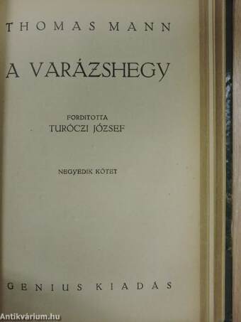 A varázshegy I-IV.