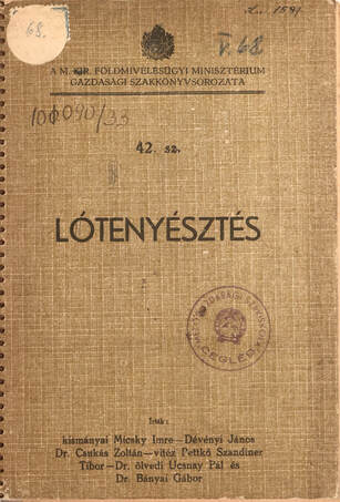 Lótenyésztés