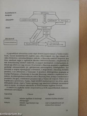 Társasági jog az Európai Közösségben