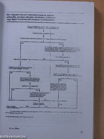 Magyar Informatikusok I. Világtalálkozója