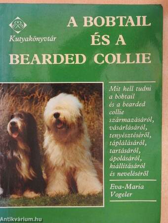 A bobtail és a bearded collie