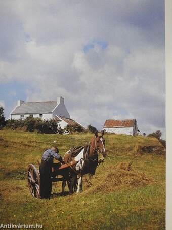 All Colour Picture Book of Britain