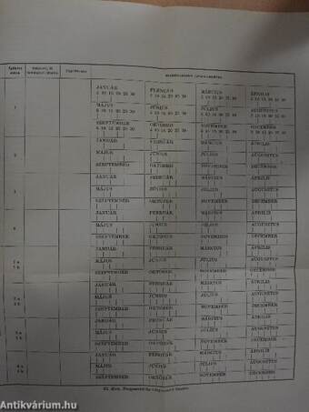 A nagyüzemi sertéstartás szervezése és technológiája