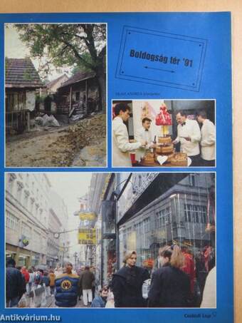 Családi Lap 1991. (nem teljes évfolyam)