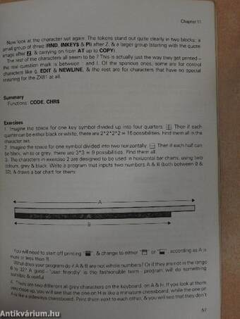 ZX81 Basic Programming