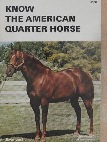 Know the american Quarter Horse