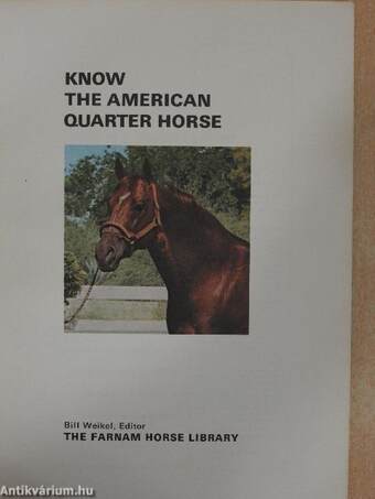 Know the american Quarter Horse