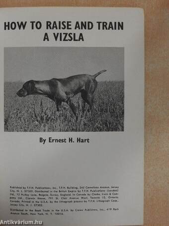 How to raise and train a vizsla